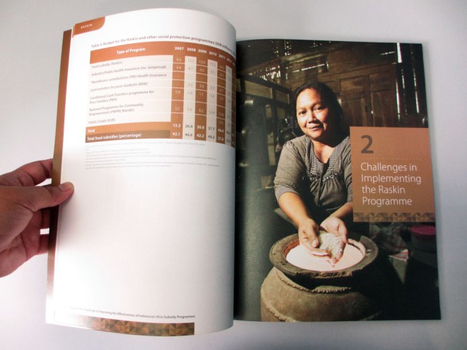 book-buku-raskin-tnp2k-3